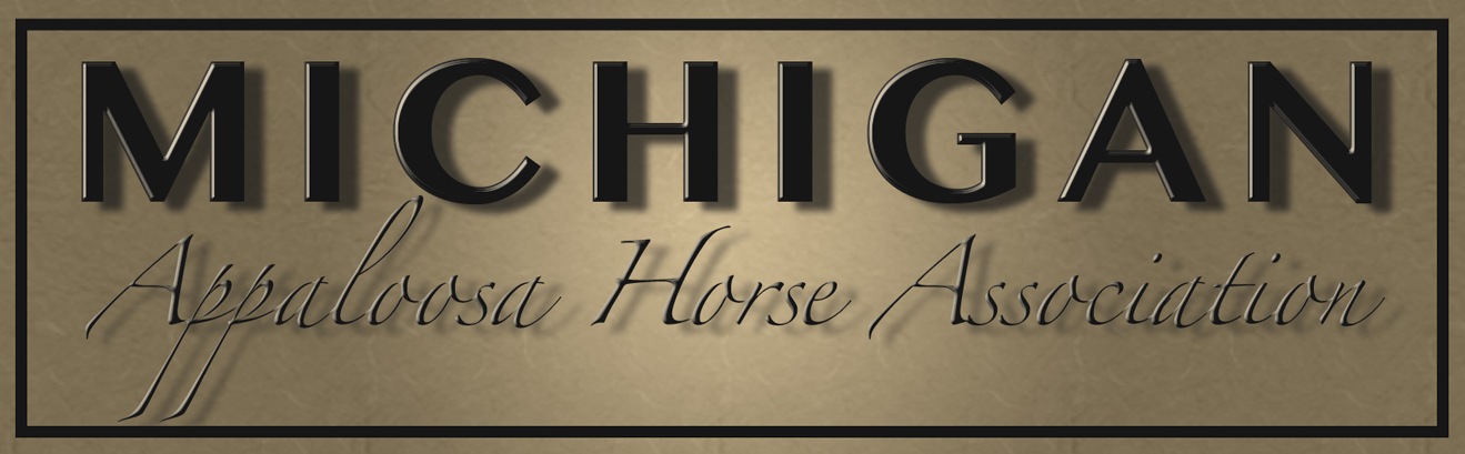 Michigan Appaloosa Heading
